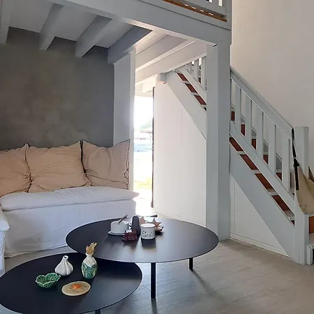 Feriehus Maison Agreable A Avec Terrasse Et Parking - Fr-1-521-262 Biscarrosse